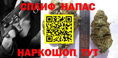 мдпв Кандалакша