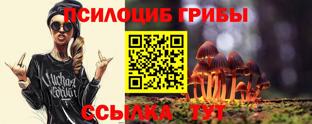 купить наркотик  Галлюциногенные грибы Psilocybine cubensis  Вход с VPN  Псилоцибиновые грибы прущие грибы  Красноуфимск 